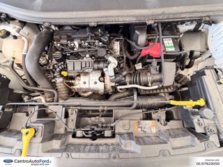 FORD Transit courier v769 1.5 ecoblue 100cv titanium 9
