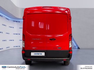 FORD Transit 350 2.0 tdci mhev 130cv trail l2h2 e6.2 3