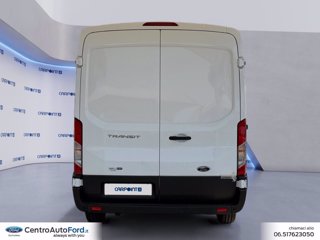 FORD Transit 310 2.0 tdci mhev 130cv trend l2h2 e6.2 3