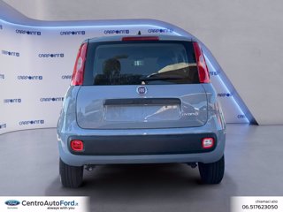 FIAT Panda 1.0 firefly hybrid city life s&s 70cv 3