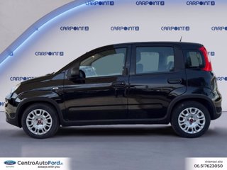 FIAT Panda 1.0 firefly hybrid city life s&s 70cv 5p.ti 1