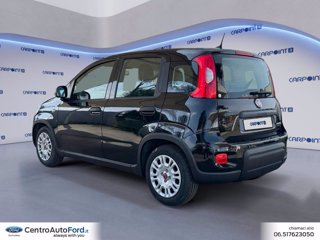 FIAT Panda 1.0 firefly hybrid city life s&s 70cv 5p.ti 2