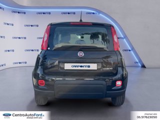 FIAT Panda 1.0 firefly hybrid city life s&s 70cv 5p.ti 3