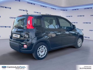 FIAT Panda 1.0 firefly hybrid city life s&s 70cv 5p.ti 4