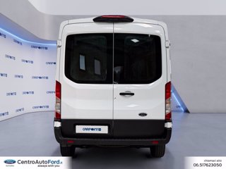 FORD Transit 330 2.0 tdci mhev 130cv trend l2h2 e6.2 3