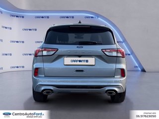 FORD Kuga 1.5 ecoblue st-line 2wd 120cv 3