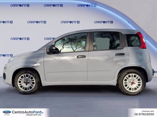FIAT Panda 1.0 firefly hybrid city life s&s 70cv 1