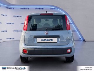 FIAT Panda 1.0 firefly hybrid city life s&s 70cv 3