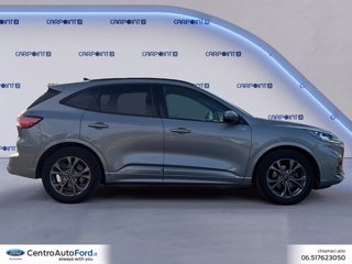 FORD Kuga 2.0 ecoblue st-line x 2wd 120cv auto 5